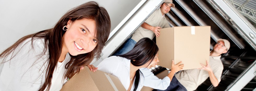 Professional Removalists Collins